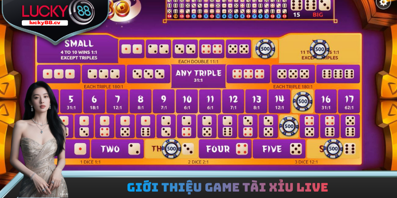 Tài Xỉu Live - Bật Mí Những Mẹo Chơi Tài Xỉu Đỉnh Cao