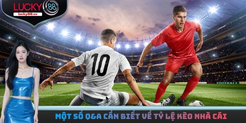 Cách Đọc Tỷ Lệ Kèo Nhà Cái Và Hướng Dẫn Cược Đơn Giản