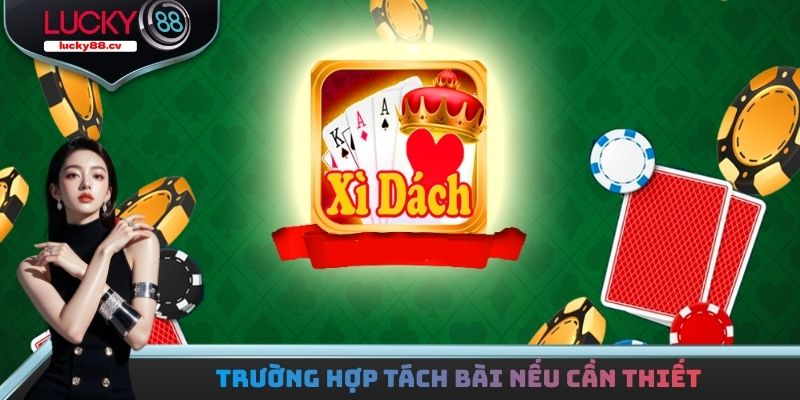 Xì Dách Hoàng Gia - Tìm Hiểu Đặc Điểm Và Cách Chơi Cho Bạn