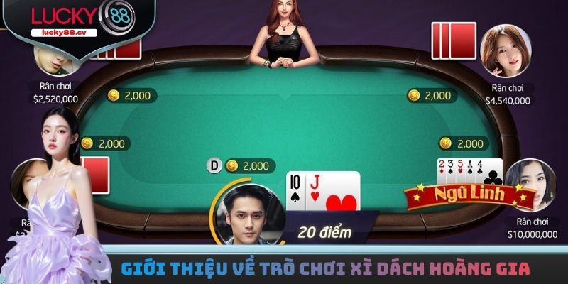 Xì Dách Hoàng Gia - Tìm Hiểu Đặc Điểm Và Cách Chơi Cho Bạn