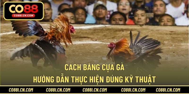 Câu Cá Vàng – Trò Chơi Thư Giãn Dễ Trúng Thưởng Tại CO88