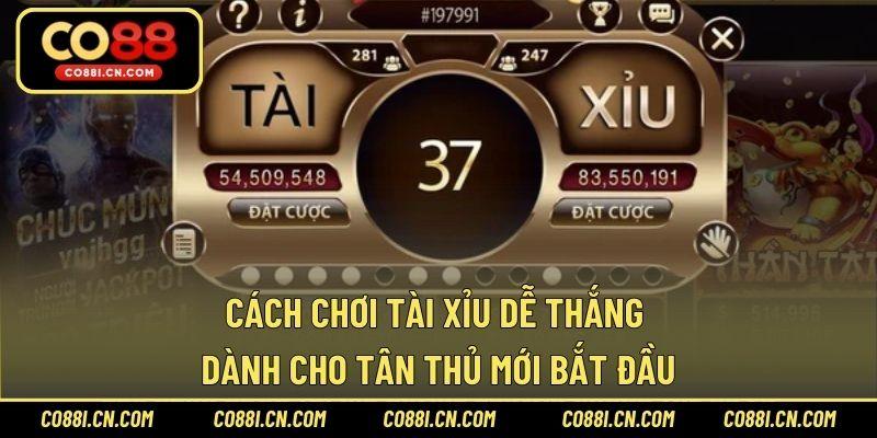 Bài Mậu Binh – Game Bài Giải Trí Chất Lượng Dễ Thắng