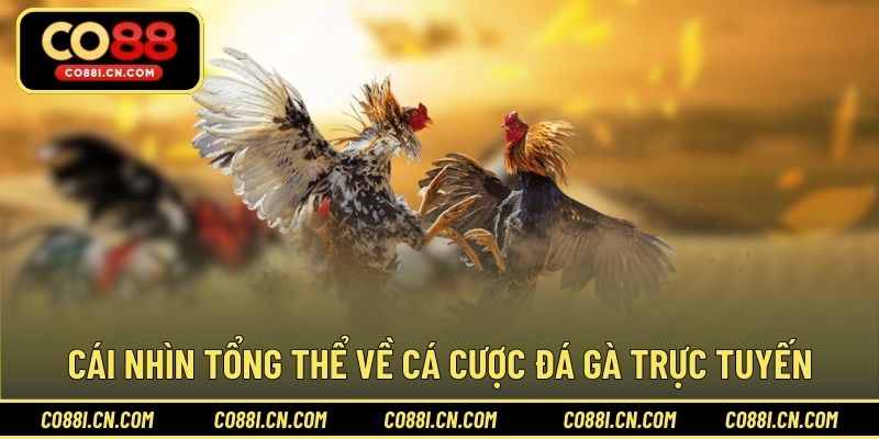 Chơi Cá Cược Đá Gà - Bí Quyết Thắng Lớn Dễ Dàng Tại CO88