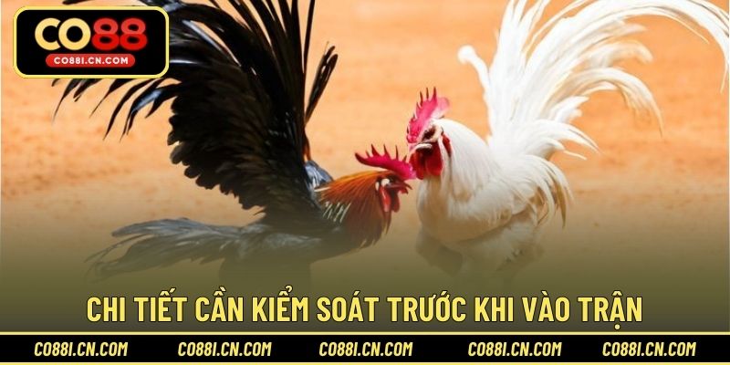Cách Băng Cựa Gà – Hướng Dẫn Thực Hiện Đúng Kỹ Thuật