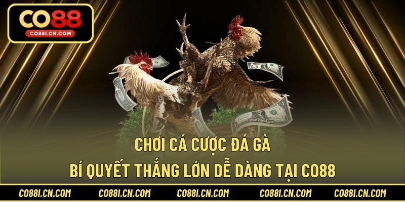 Bắn Cá Đổi Thưởng – Cơ Hội Săn Xu Đổi Quà Hấp Dẫn Tại CO88