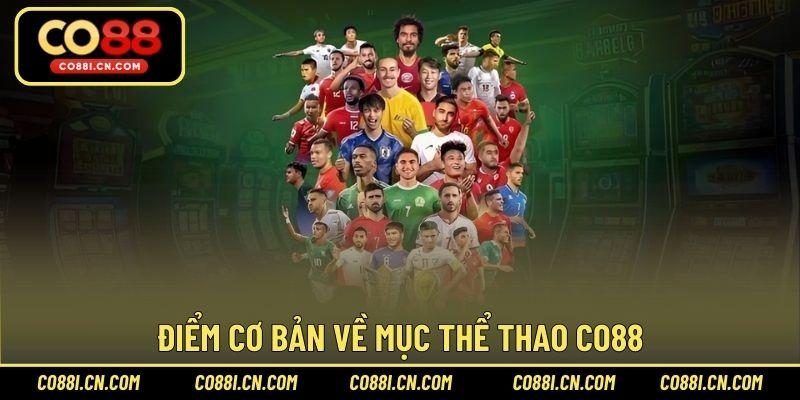 Thể Thao CO88 – Chuyên Mục Hot Hit Đặt Cược Cực Chất