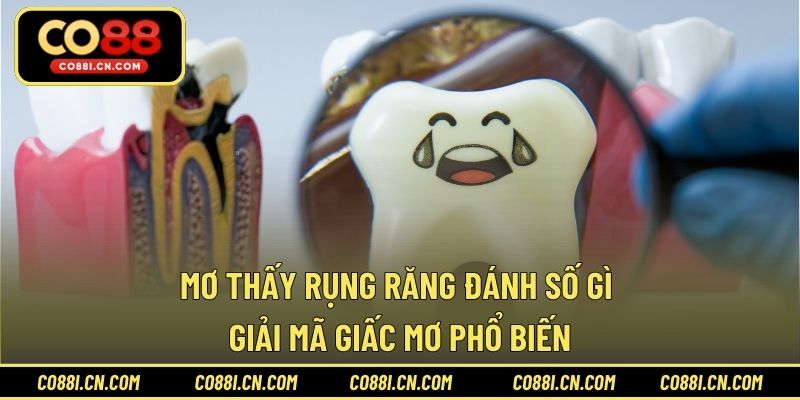 Kèo Châu Á - Hướng Dẫn Tìm Hiểu Loại Kèo Được Ưa Chuộng Nhất