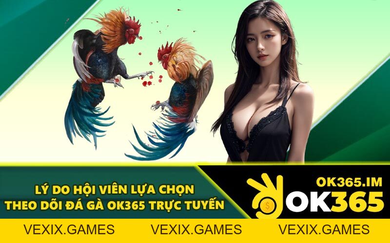 Đá Gà OK365 - Thưởng Thức Trận Đấu Chất Lượng Cao