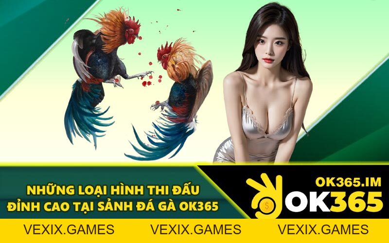 Đá Gà OK365 - Thưởng Thức Trận Đấu Chất Lượng Cao